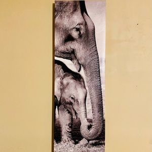 Elephant Wall Canvas